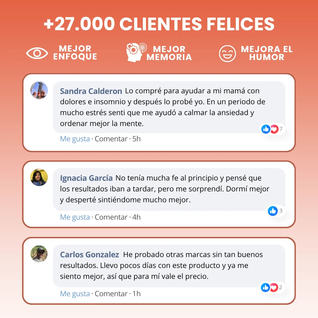 Melena de León - Concentración, Memoria y Vitalidad